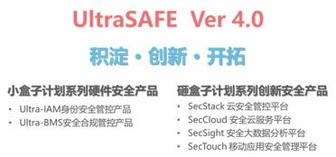 泰岳安全发布企业信息安全管控新品Ultrasafe 4.0，引领信息技术咨询服务新纪元